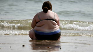 Fatness, Race, and Food Policies in America